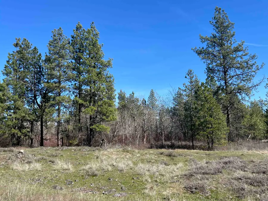 249015 W Kitt Rd, Reardan, WA 99029 - #2
