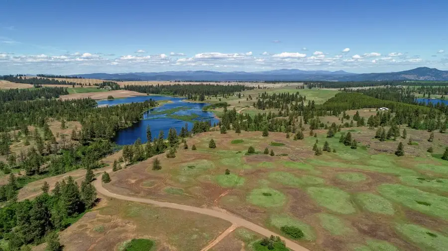249015 W Kitt Rd, Reardan, WA 99029 - #3
