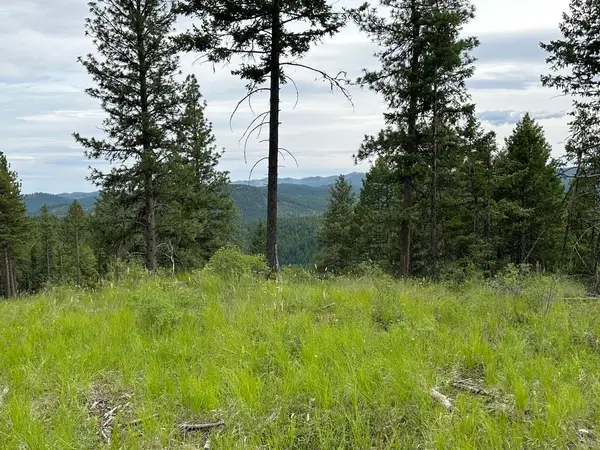 36XX Lot Q Sheridan Rd, Republic, WA 99166