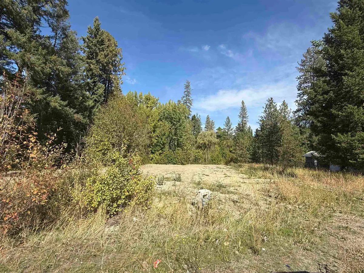 XXX W Shaffer Ave, Springdale, WA 99173 - #1