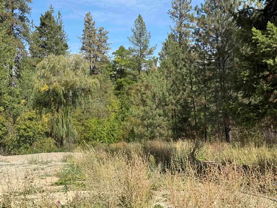 XXX W Shaffer Ave, Springdale, WA 99173 - #3
