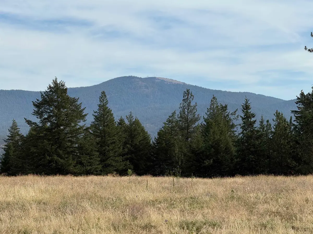 25XXX N Orchard Bluff Rd, Chattaroy, WA 99003 - #1