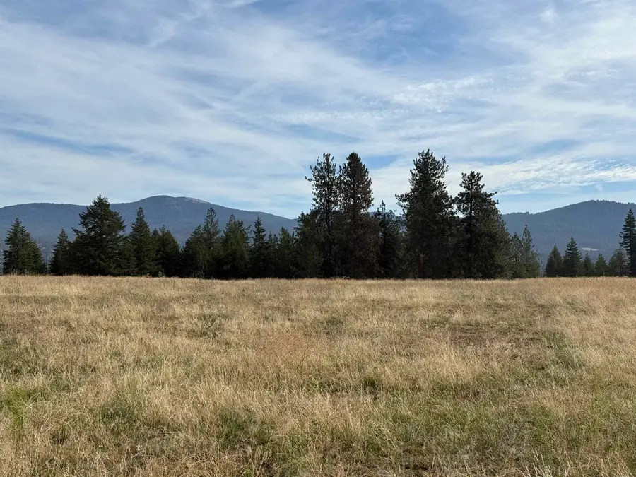 25XXX N Orchard Bluff Rd, Chattaroy, WA 99003 - #2