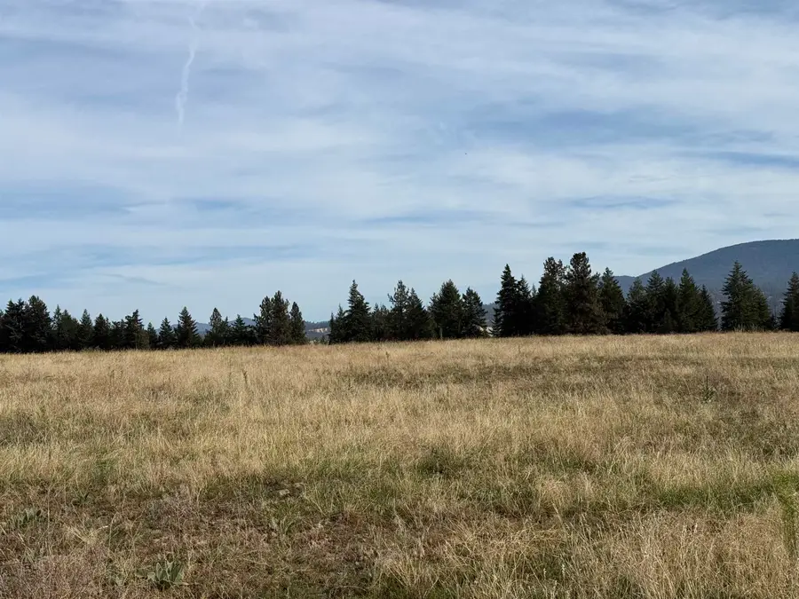 25XXX N Orchard Bluff Rd, Chattaroy, WA 99003 - #3