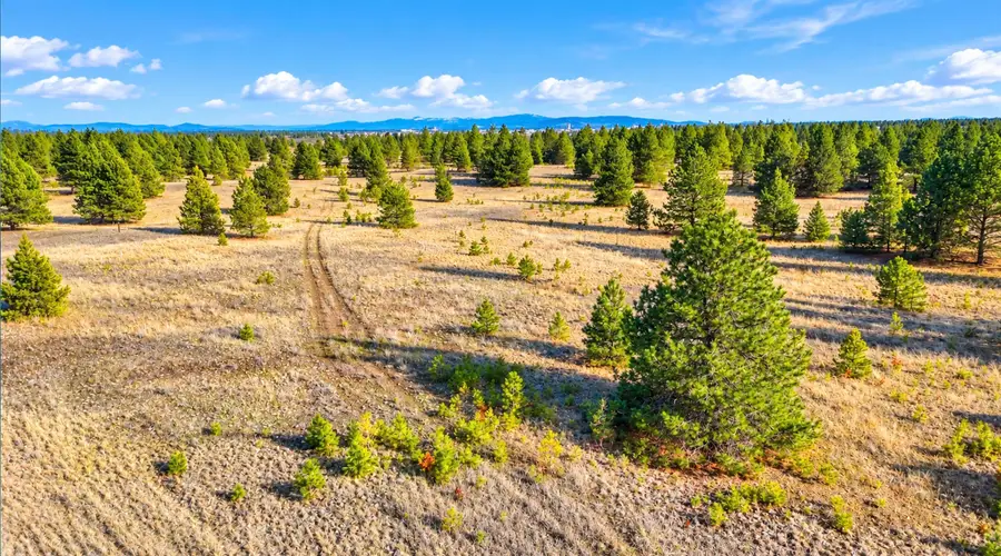 000 N Dover Rd, Medical Lake, WA 99022 - #3