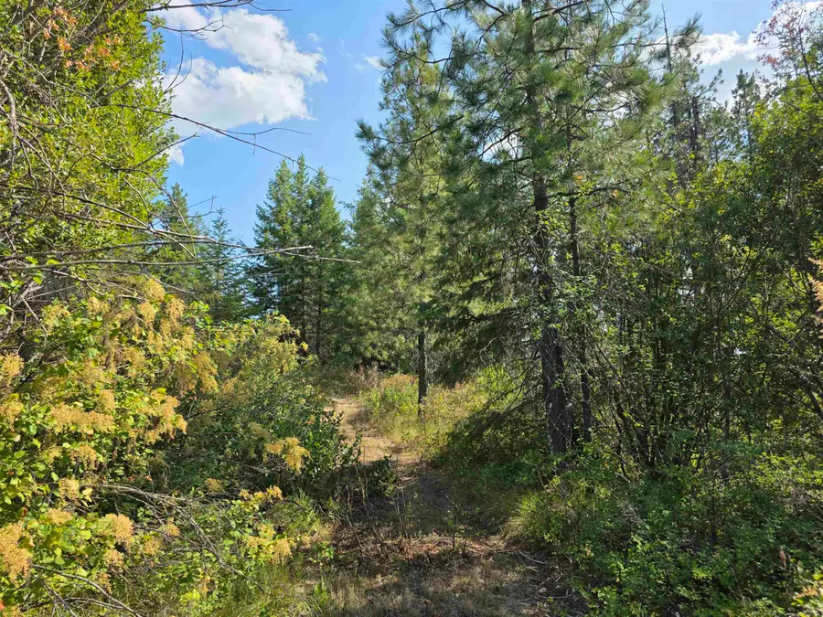251 Hearts Delight Ln, Newport, WA 99156 - #2