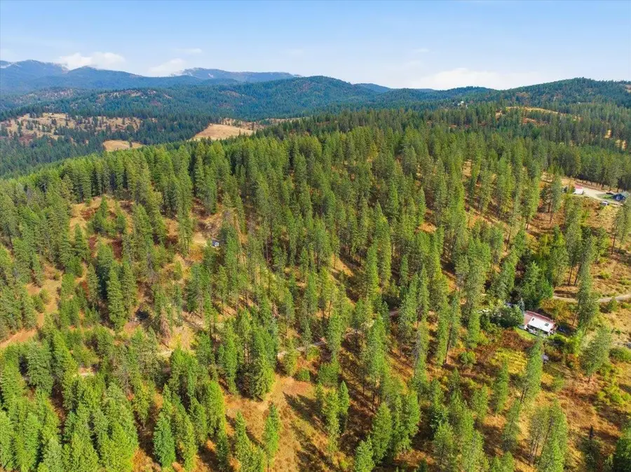 TBD Unassigned Address, Mead, WA 99021 - #3