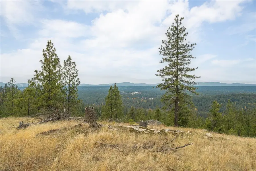 36022 N Milan-elk Rd, Chattaroy, WA 99003 - #3