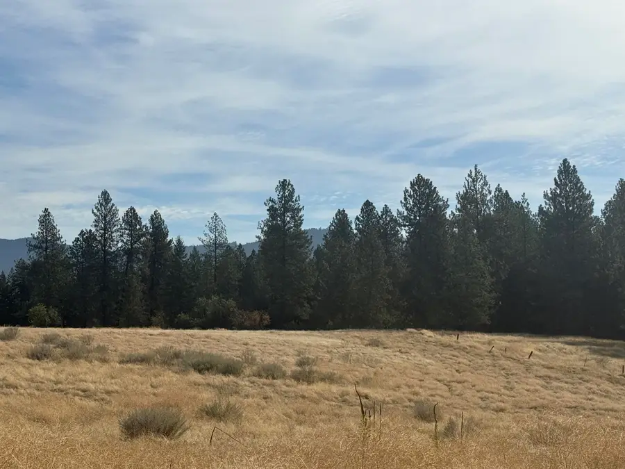 25054 N N Orchard Bluff Rd Rd, Chattaroy, WA 99003 - #3