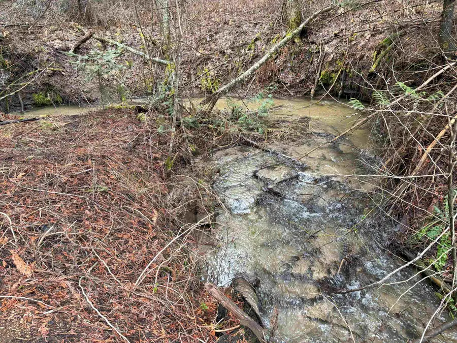 Lot 7 Rail Canyon Rd, Springdale, WA 99173 - #3