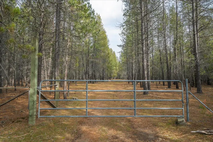 28202 N Bruce Rd, Chattaroy, WA 99003 - #2