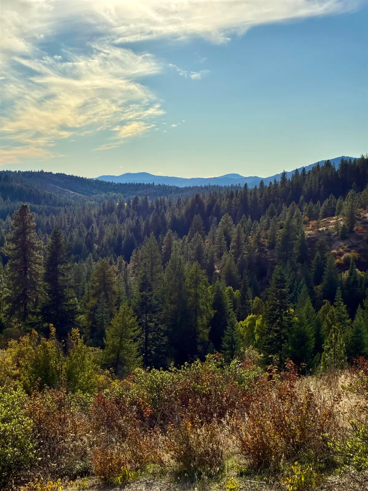 TBD Deer Valley Rd, Newport, WA 99156 - #1