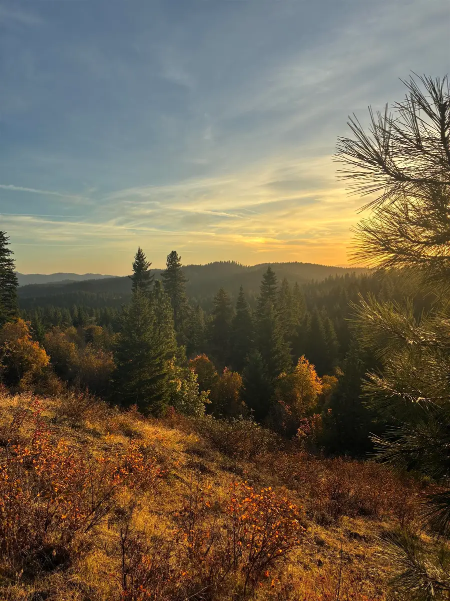 TBD Deer Valley Rd, Newport, WA 99156 - #3