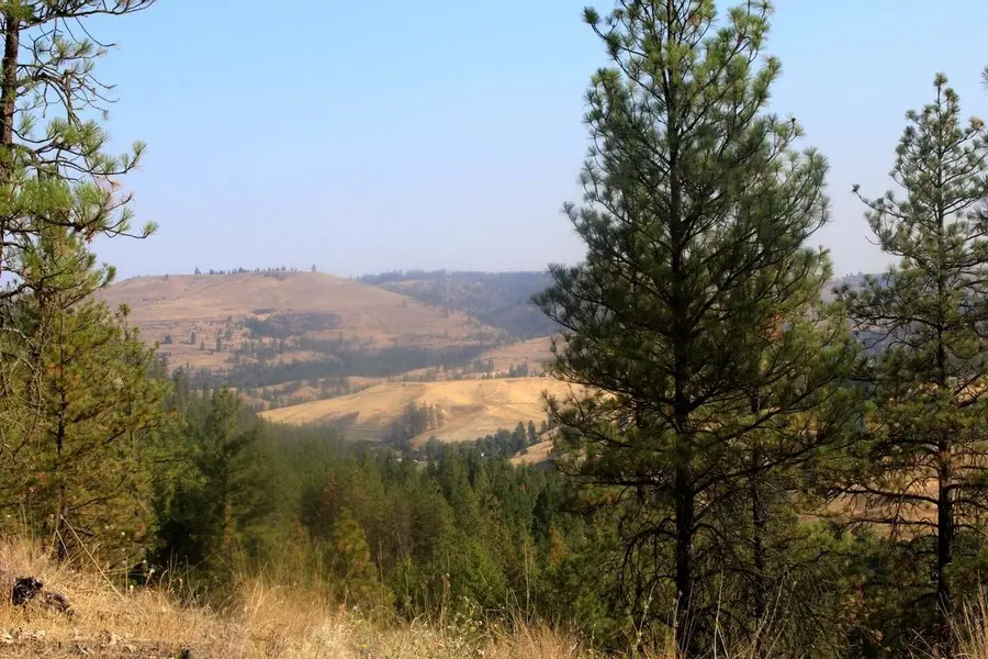 35770 Spruce Grouse N Ln, Davenport, WA 99122 - #2