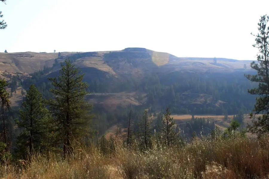 35770 Spruce Grouse N Ln, Davenport, WA 99122 - #3