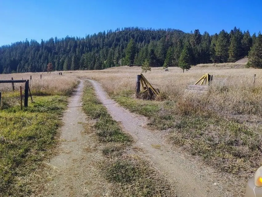1750 Orin Rice Rd, Rice, WA 99167 - #2