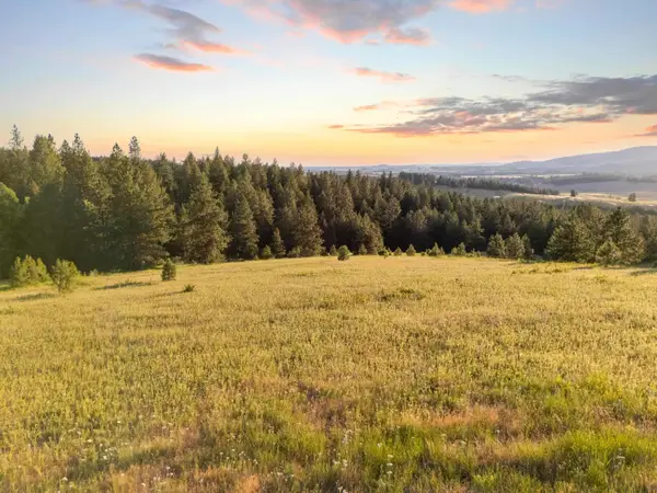NNA S Mica Vista Ln Ln, Mica, WA 99023