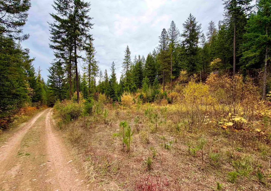 42XX Bussard Lake Rd, Loon Lake, WA 99148 - #3