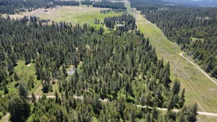 00 N Waldrons Ln Ln, Chattaroy, WA 99003 - #2