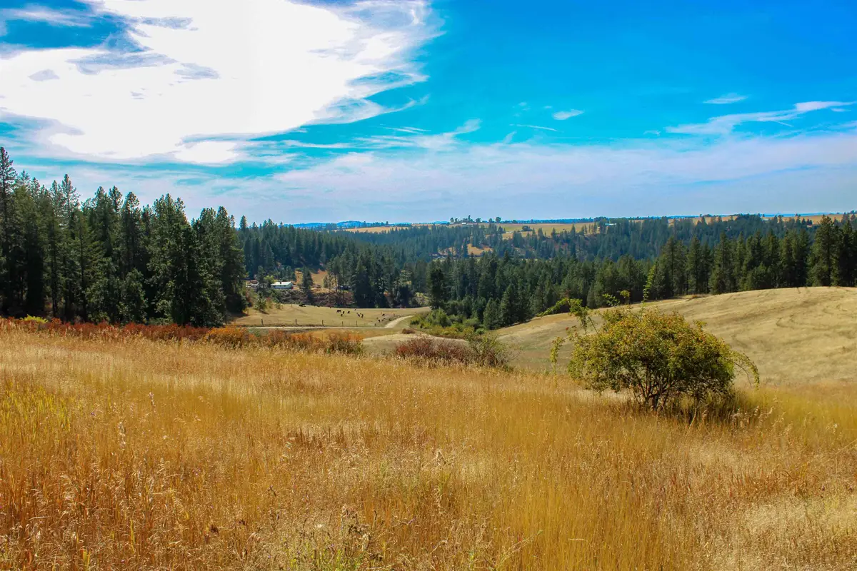 NKA (North lot) E Farwell Rd, Spokane, WA 99217 - #1