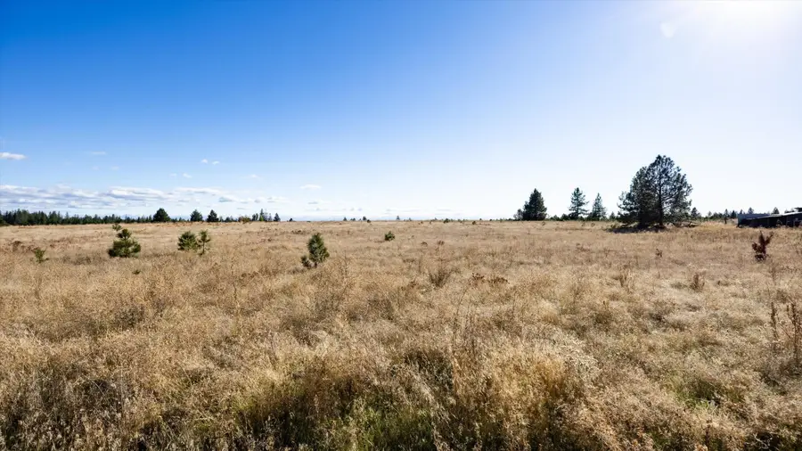 XXX W Bridges Rd, Deer Park, WA 99006 - #3