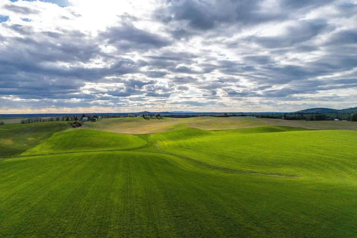 14906 S Madison Rd, Valleyford, WA 99036 - #1