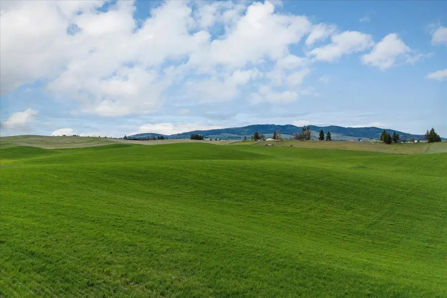 14906 S Madison Rd, Valleyford, WA 99036 - #2