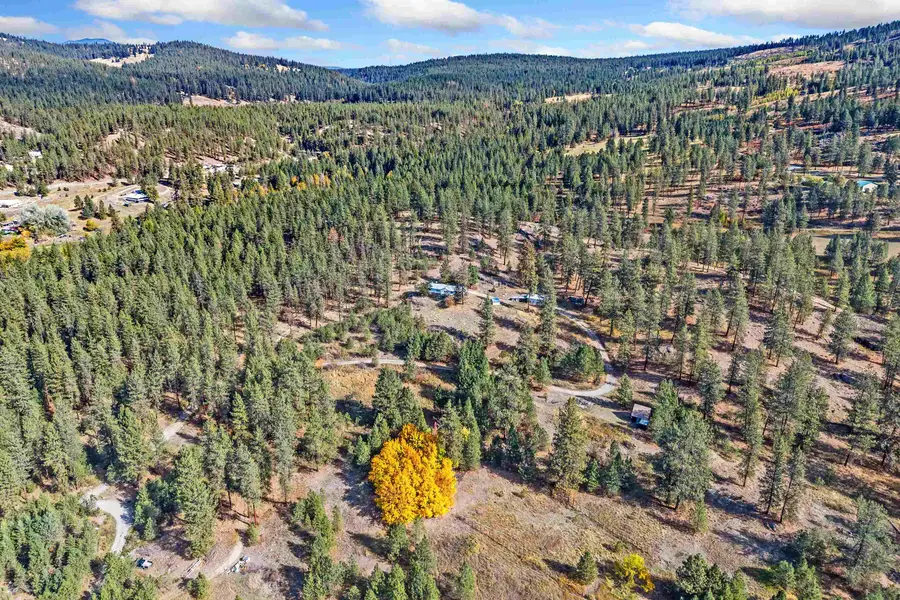 910A Laury Rd, Colville, WA 99114-000 - #2