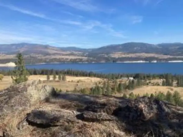 XX Grand Louis Rd Rd, Inchelium, WA 99138
