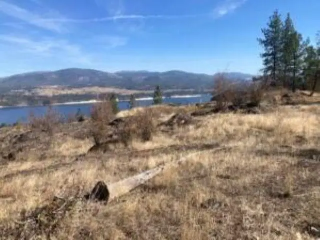 XX Grand Louis Rd Rd, Inchelium, WA 99138 - #2