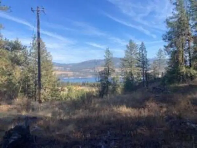 XX Grand Louis Rd Rd, Inchelium, WA 99138 - #3
