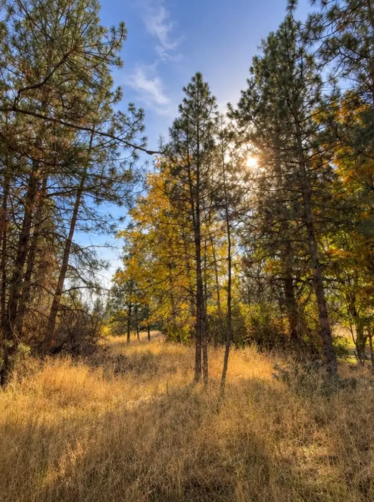 000 W 34th Ave, Spokane, WA 99224 - #2