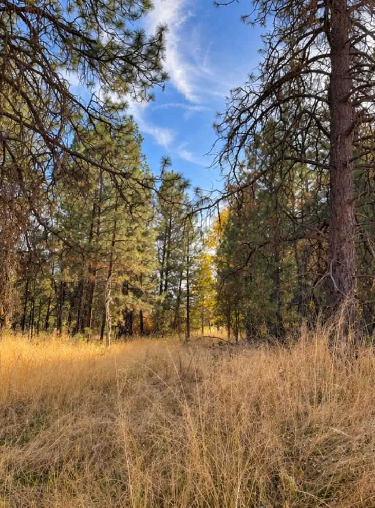 000 W 34th Ave, Spokane, WA 99224 - #3