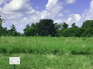 #3