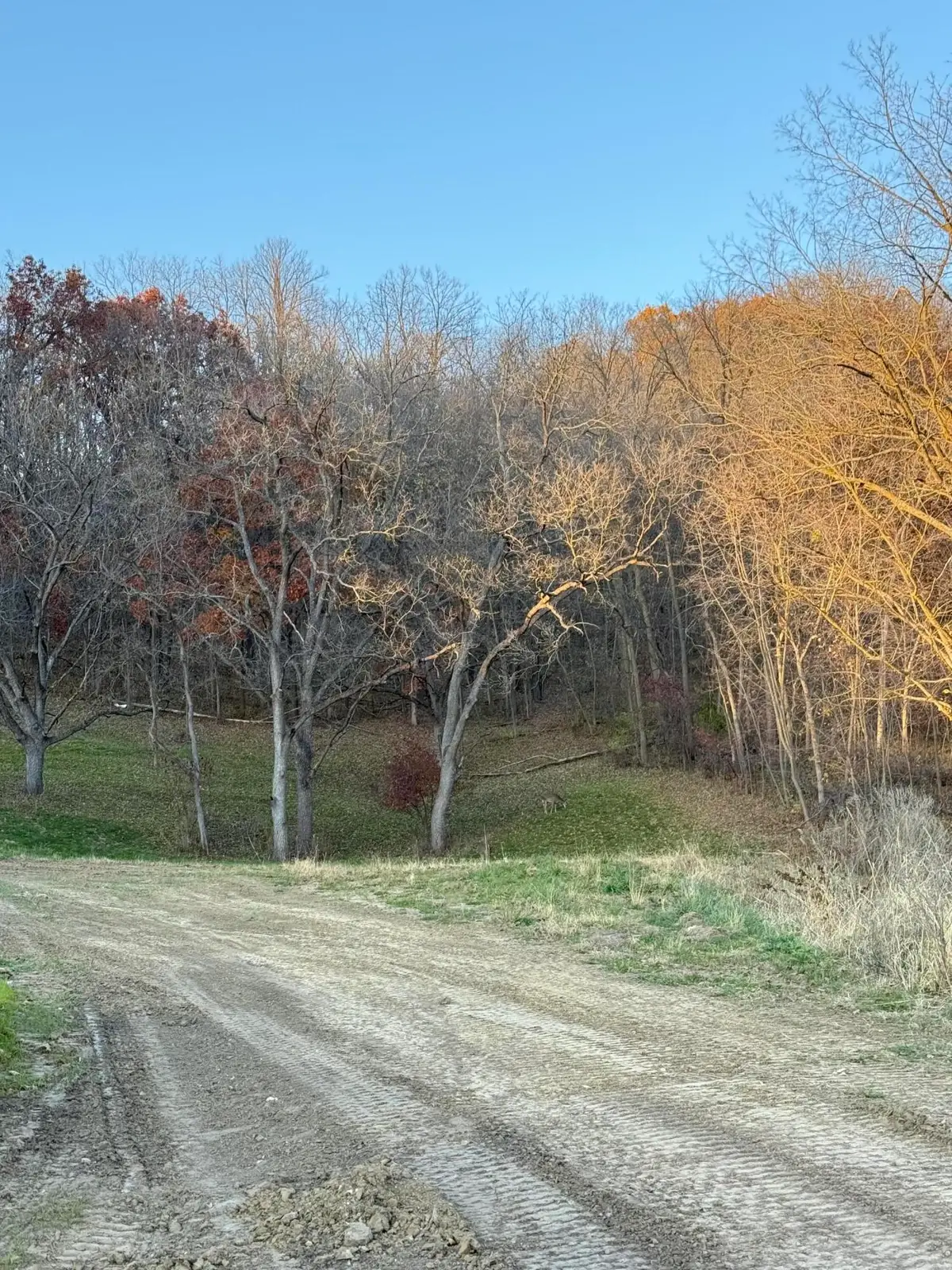 Lt# 56 Grand Glen Ct, Onalaska, WI 54650 - Image #1