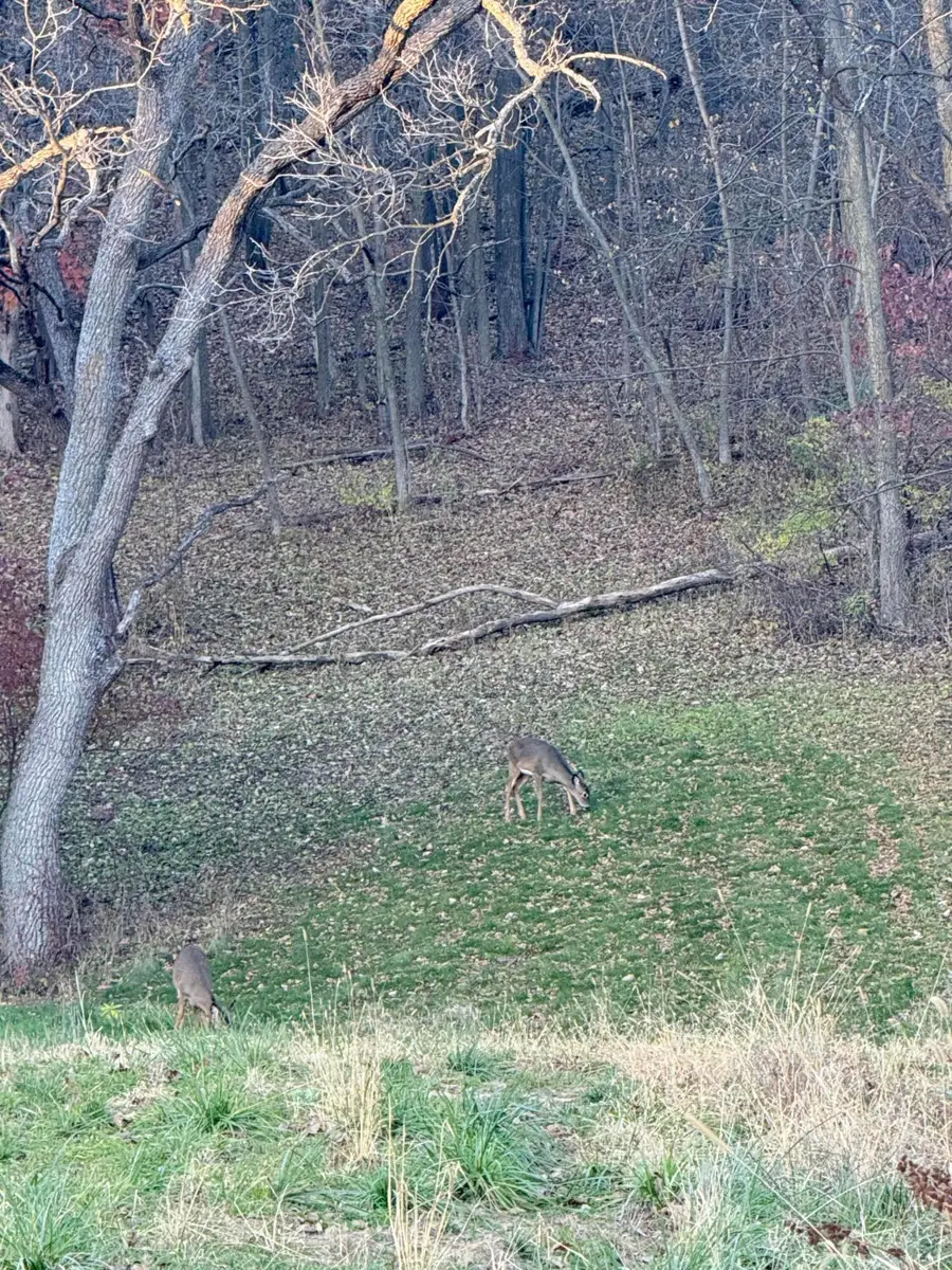 Lt# 56 Grand Glen Ct, Onalaska, WI 54650 - Image #2