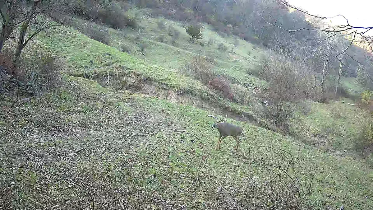 16884 County Road S, Hickory Grove, WI 53805 - Image #1