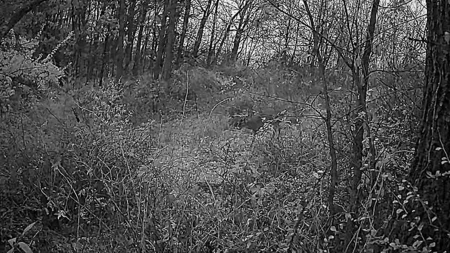 16884 County Road S, Hickory Grove, WI 53805 - Image #3