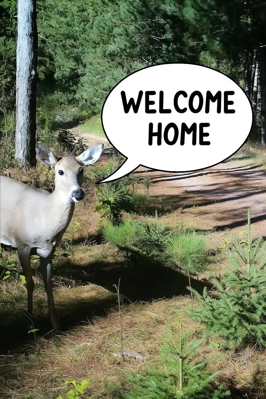 2536 4th Dr, New Chester, WI 53936 - Image #3