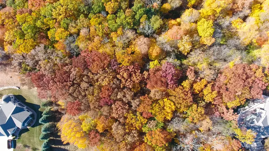 Lt8 Niagara Ln, Taycheedah Town, WI 54937 - Image #3