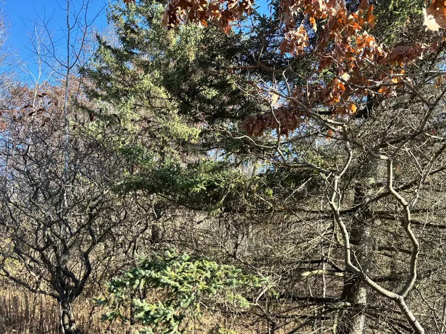 Lt1 County Highway Cc, Polk, WI 53086 - Image #3