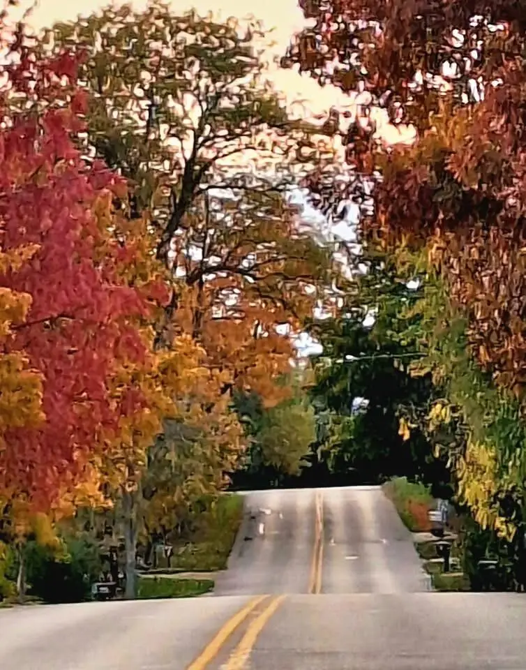 1713 Miller Ct, Lake Geneva, WI 53147 - Image #3