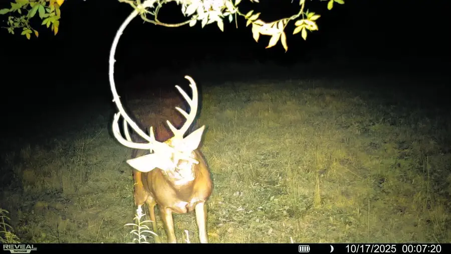 54982 Smith Rd, Ferryville, WI 54628 - Image #2