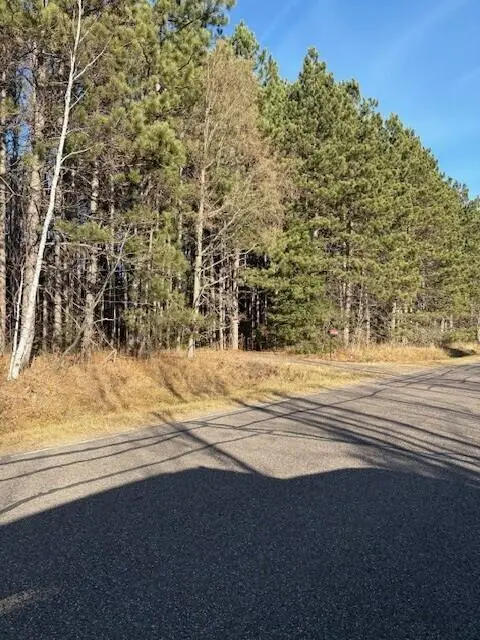 10030 W Moose Lake Rd, Round Lake, WI 54843 - Image #1