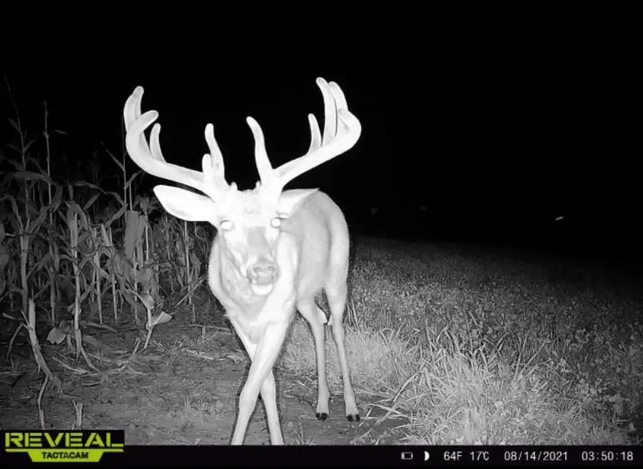 N23415 Oak Ridge Dr, Arcadia Town, WI 54630 - Image #3