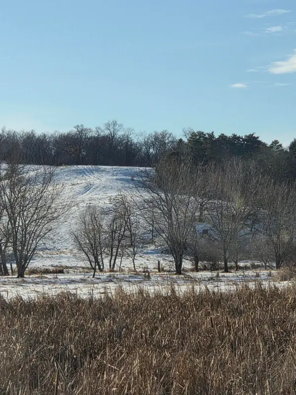 0 Highway 121, Chimney Rock, WI 54747