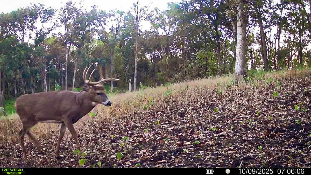 W27022 Whistlers Pass Rd, Dodge, WI 54625 - #1