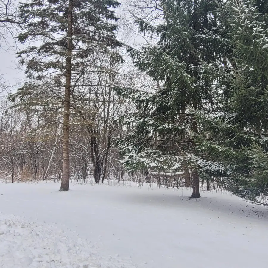 3036 Norman Dr, Barton, WI 53090 - Image #3