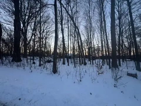 Lt17 Forest Dr, Geneva, WI 53147 - #1