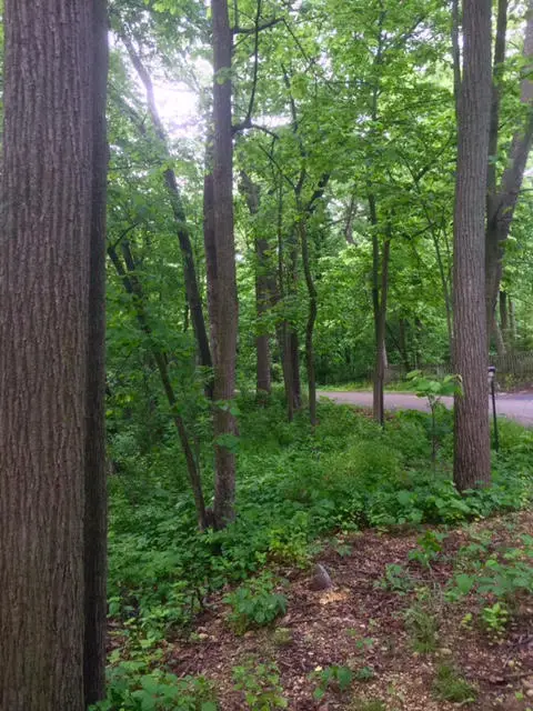 W5754 Nine Indian Trl, Elkhorn, WI 53121